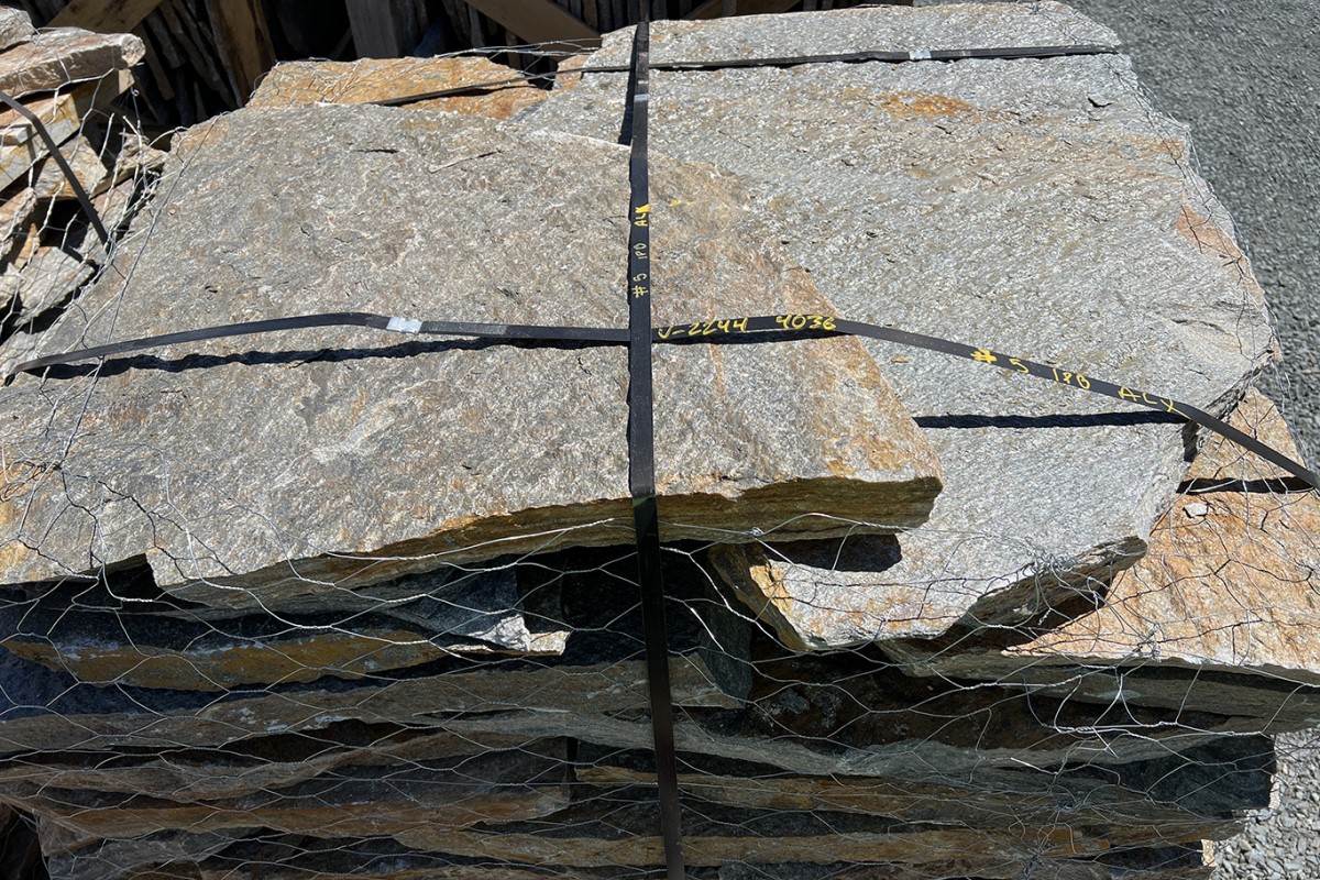 Indian Paint Brush Quartzite