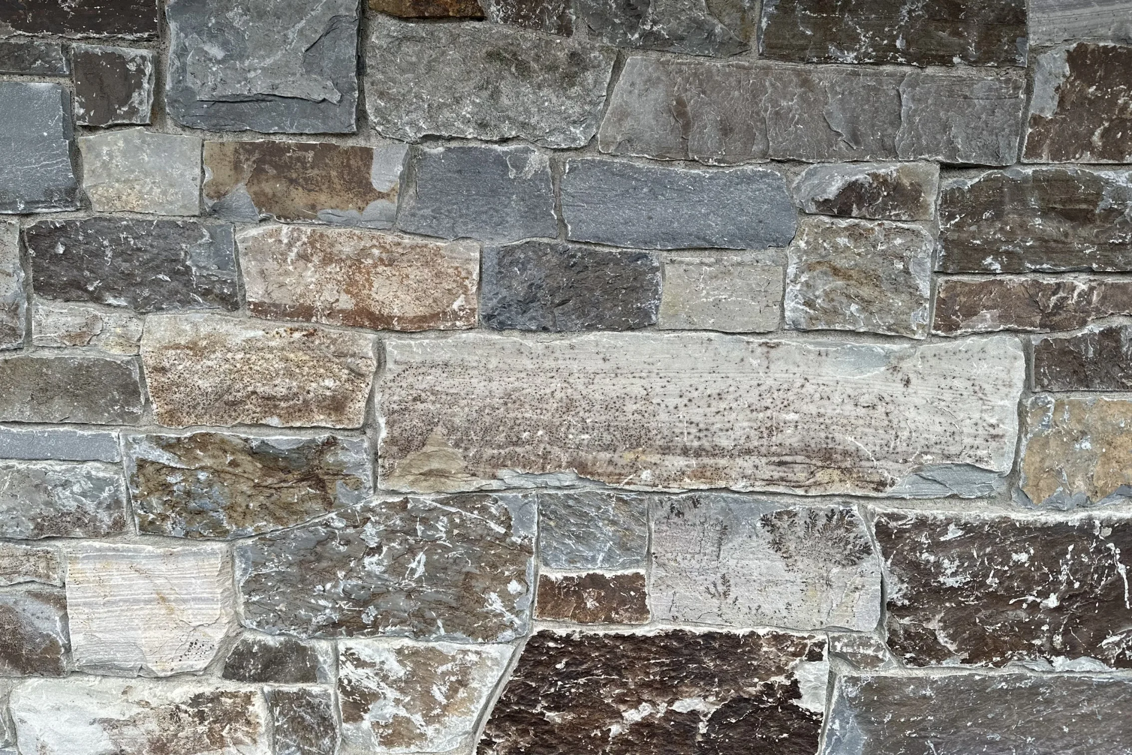 Moose Mountain Veneer Stone