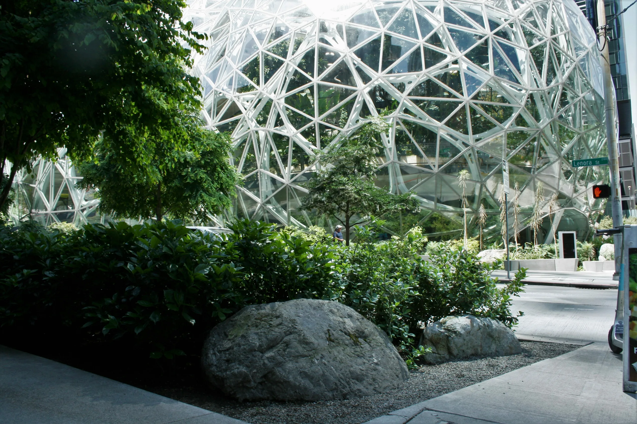 Our boulders placed throughout the Amazon spheres.